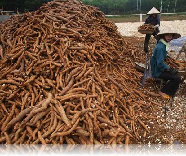 Xử lý nước thải bột mỳ