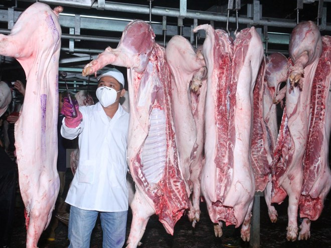 Xử lý nước thải giết mổ gia súc, gia cầm